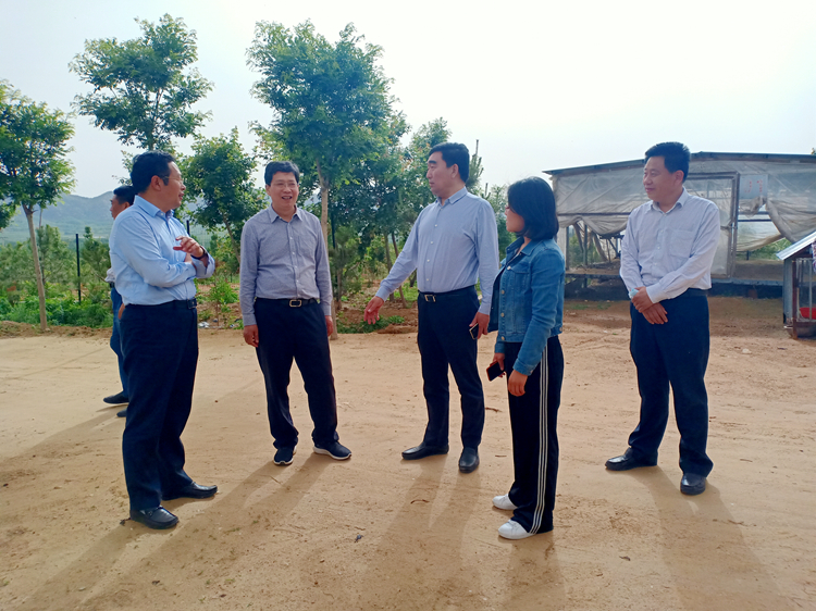 杜昌华调研全市林下经济培育工作