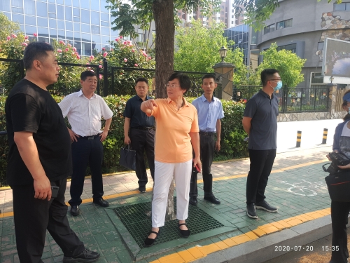 济宁市人大常委会 人大要闻 陈颖带队检查第16网格创城工作